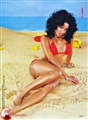 K.D. Aubert