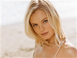 Kate Bosworth